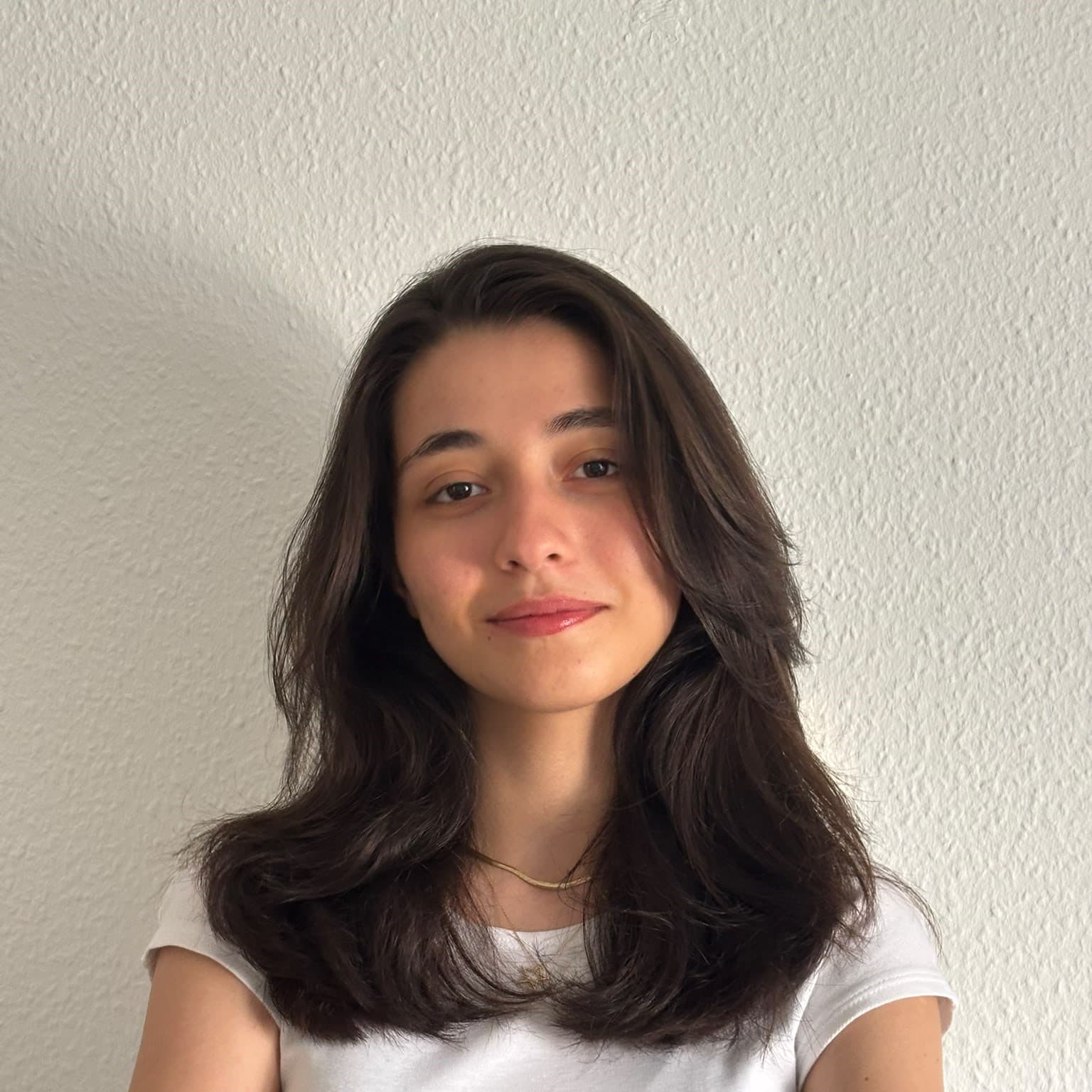 İpek Şen