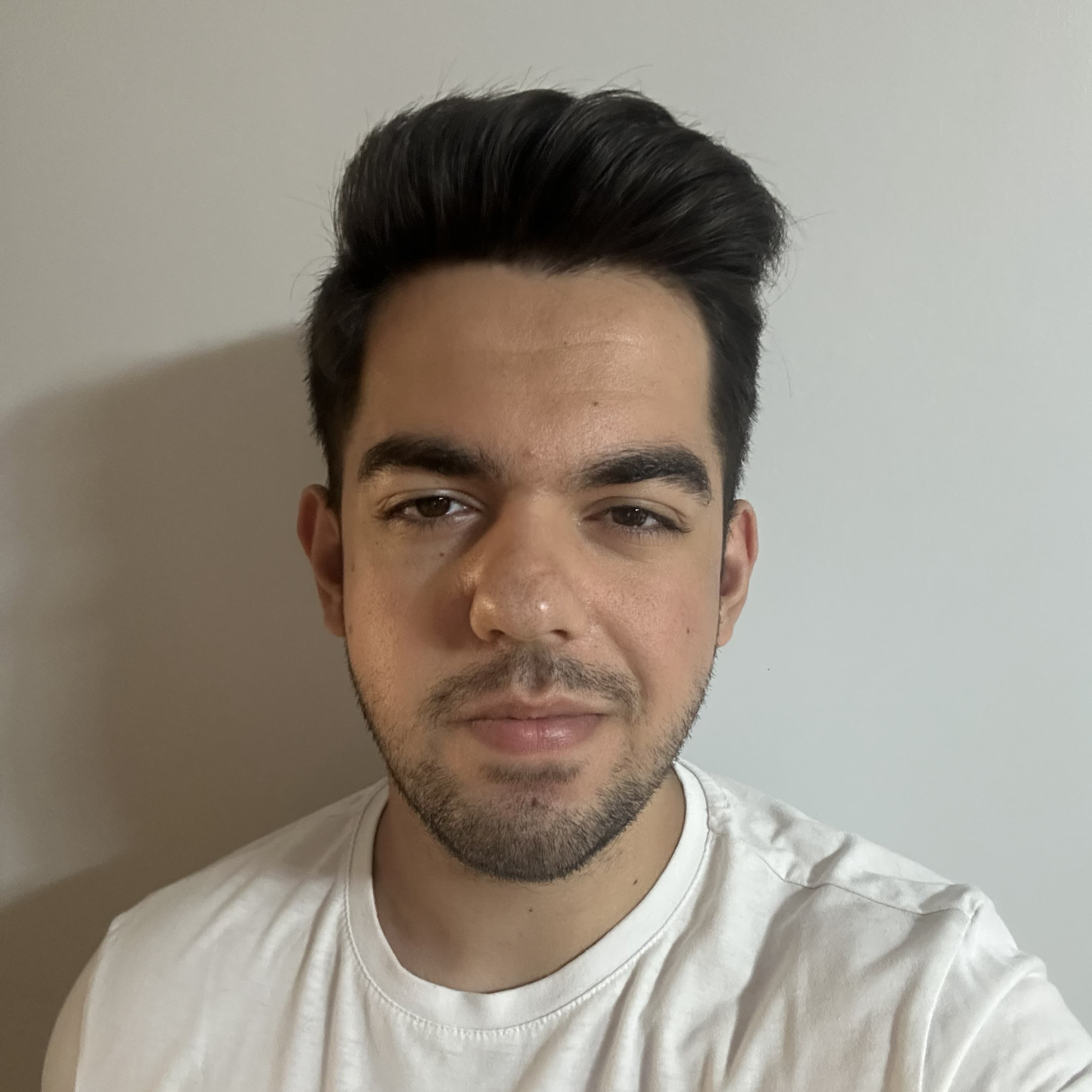 Mustafa Ertan